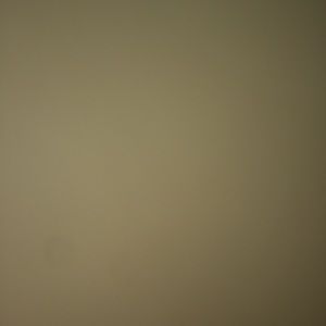 Meet your Posher, Doreatha